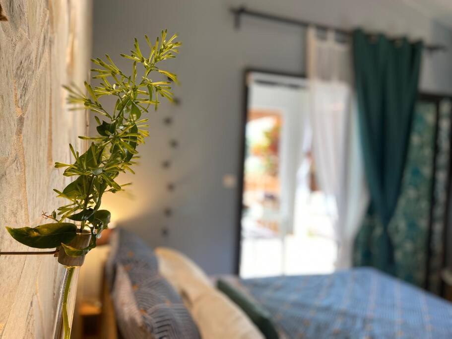 Cocooning Tropic Studio Avec Jacuzzi Privatif Saint-Louis Exterior foto
