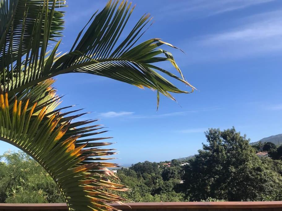 Cocooning Tropic Studio Avec Jacuzzi Privatif Saint-Louis Exterior foto