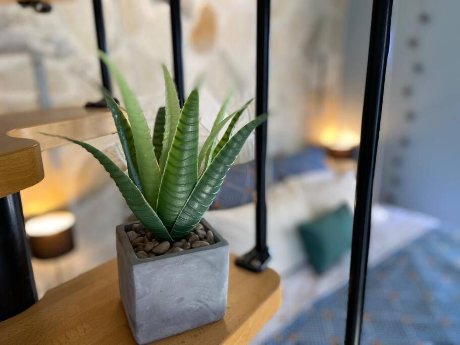 Cocooning Tropic Studio Avec Jacuzzi Privatif Saint-Louis Exterior foto
